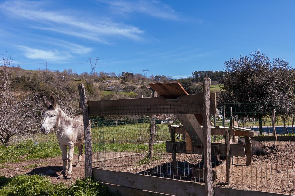 Casa Rural Restaurante Aranburu Zestoa Eksteriør bilde